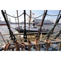 3700_2809 Takelage eines Segelschiffs - aufgeschossen Taue, Schiffleinen. | Hafengeburtstag Hamburg - groesstes Hafenfest der Welt